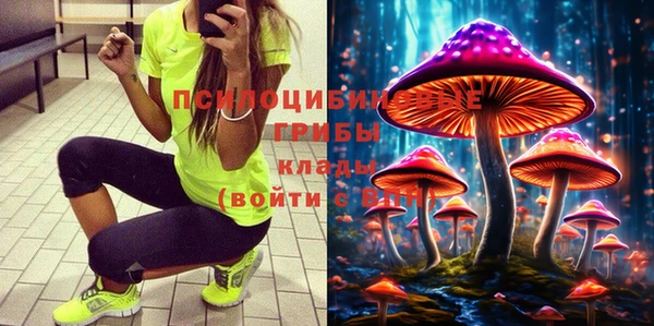гашик Аркадак