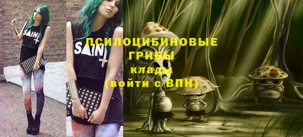 гашик Аркадак