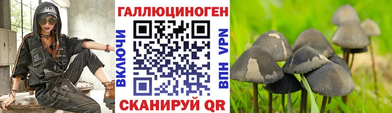 Псилоцибиновые грибы Cubensis  дарнет шоп  Лесосибирск 