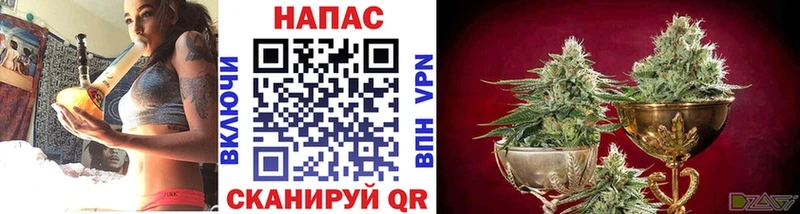 Канабис гибрид мега онион Лесосибирск